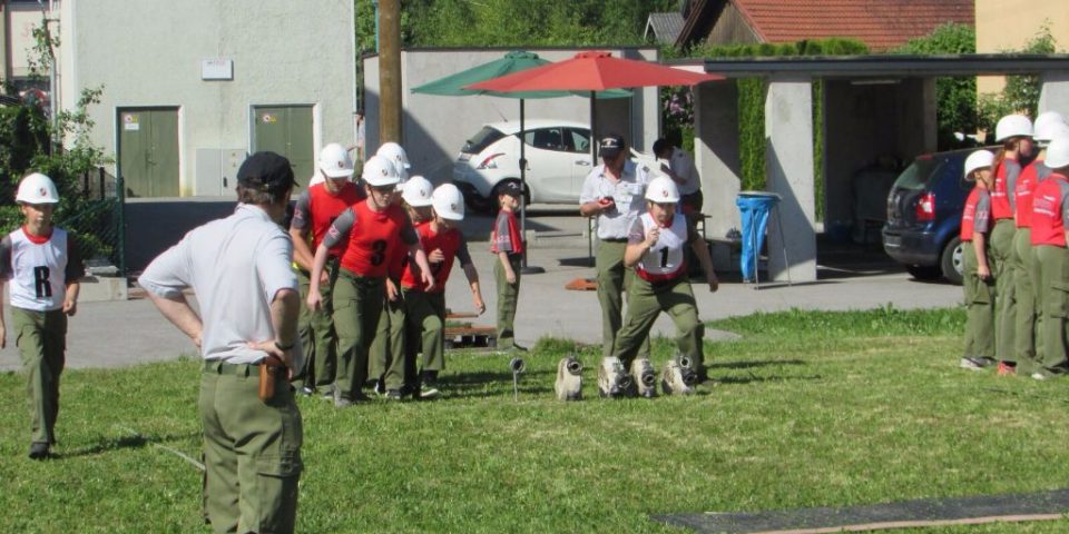 IMG-20170612-WA0020