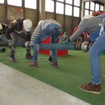 k-IMG_0244